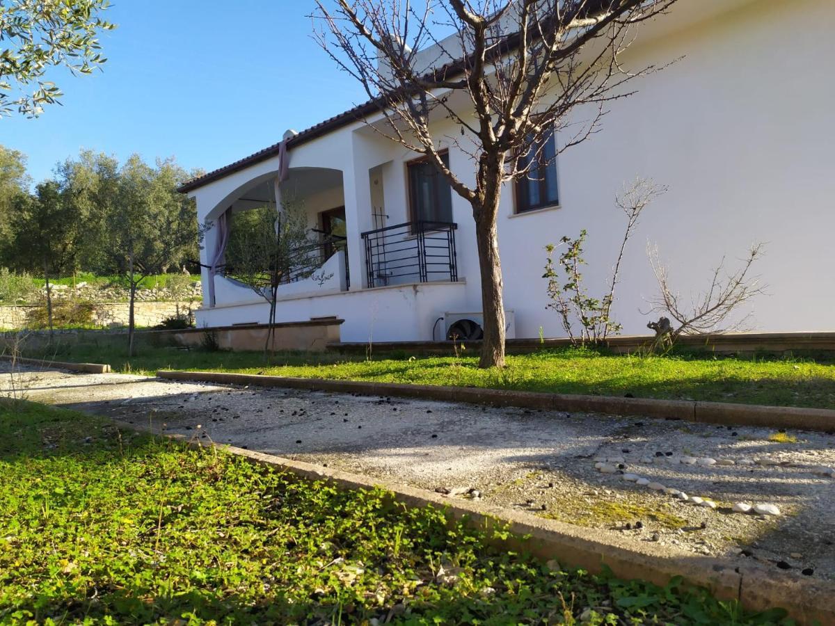 Casa Vacanze Rinaldi 马蒂纳塔 外观 照片